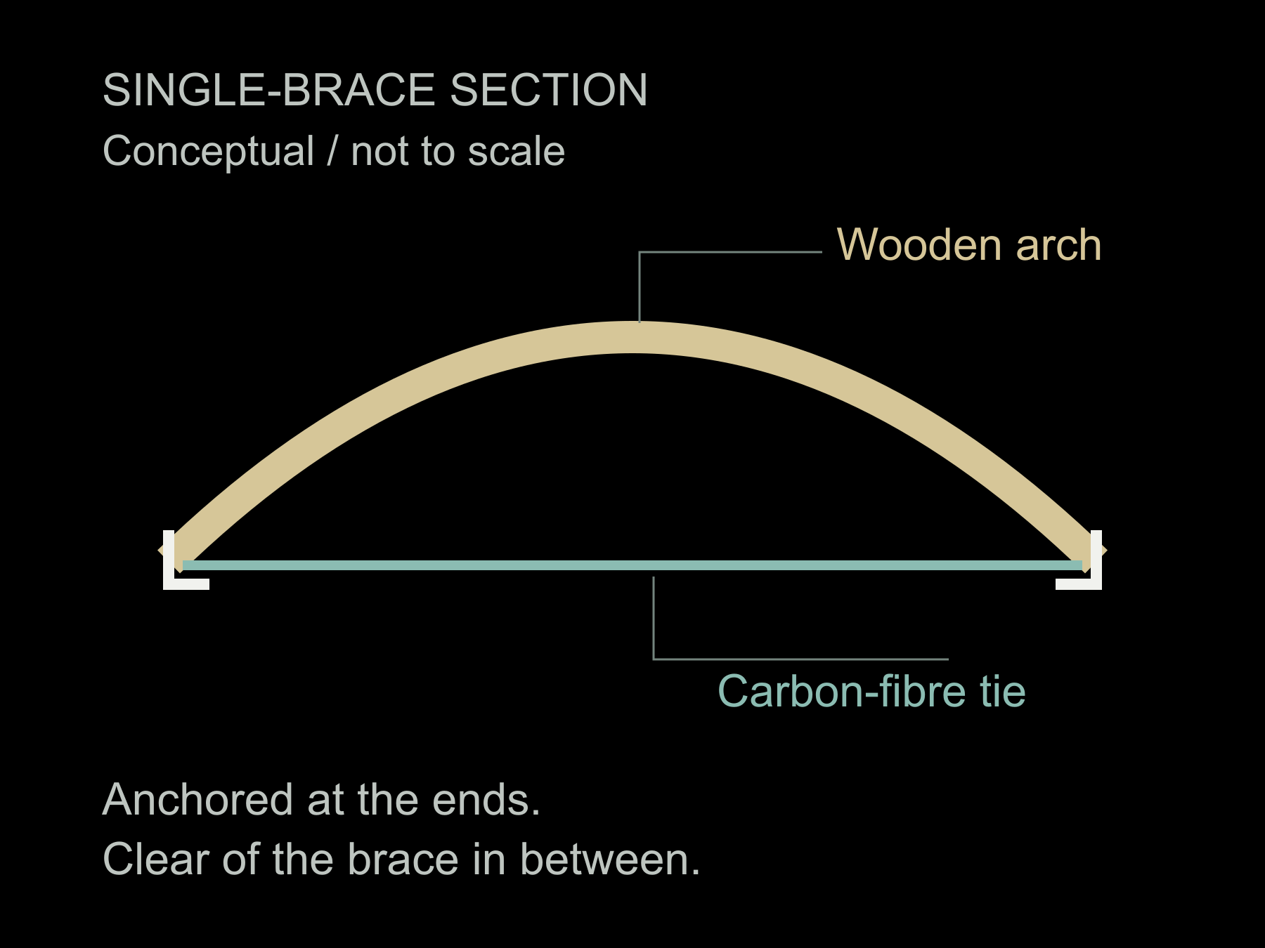 Conceptual single-brace section: an arched wooden brace with a carbon-fibre tie anchored at its ends and clear of the middle. Not a complete bracing layout.
