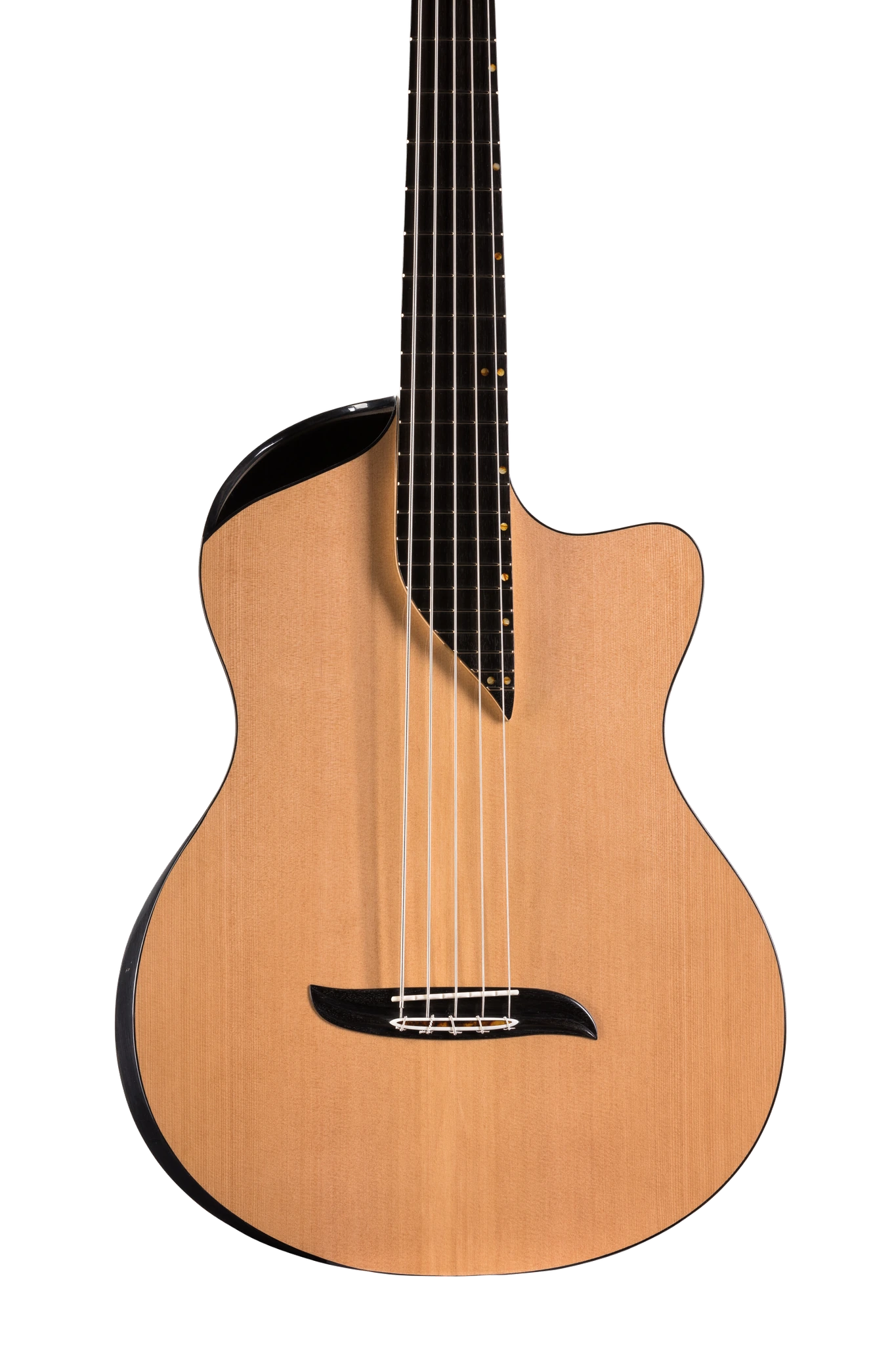 Front body and bridge detail of Turkowiak contrabass guitar No. 399