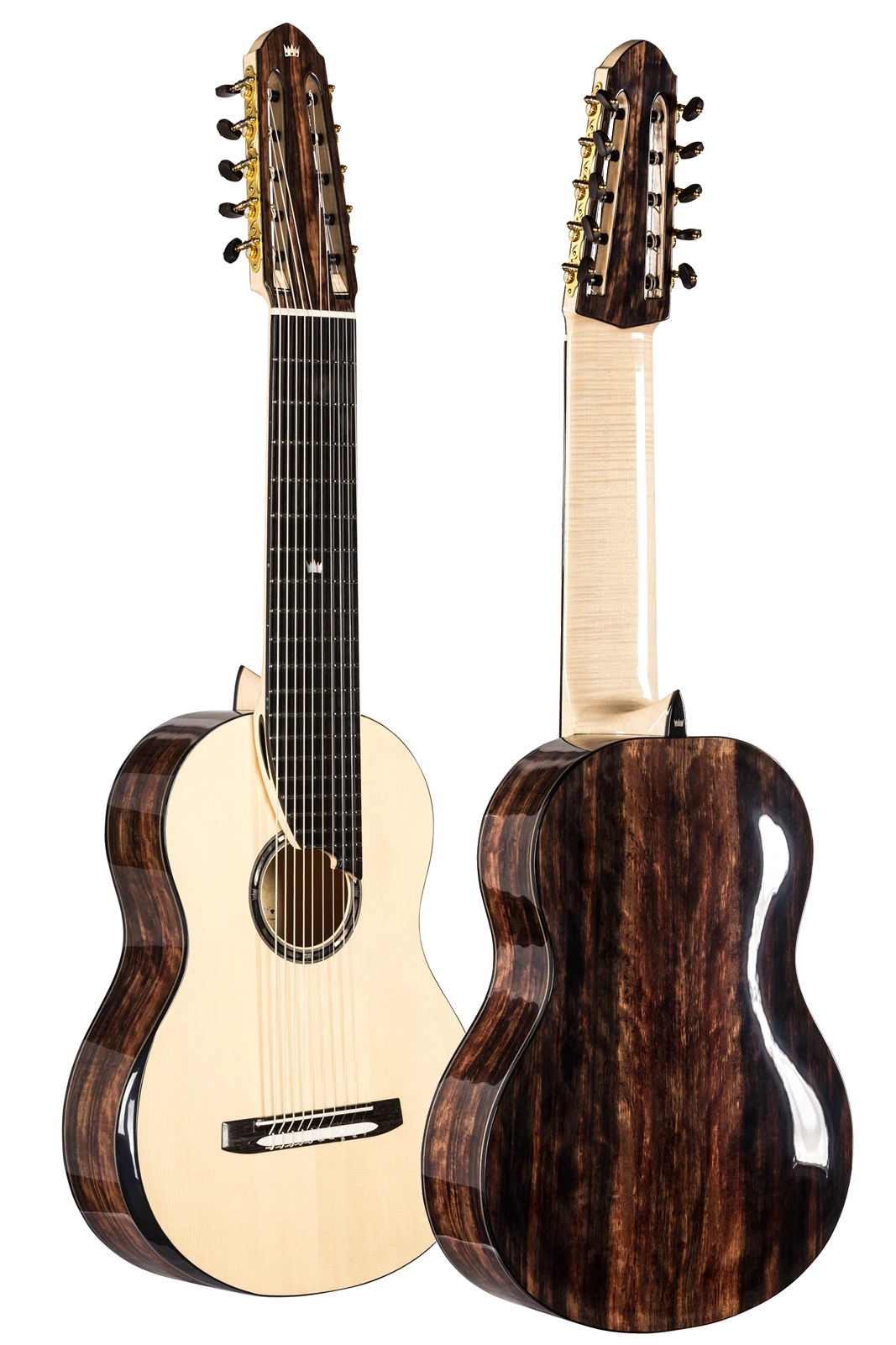 Multi String Guitars