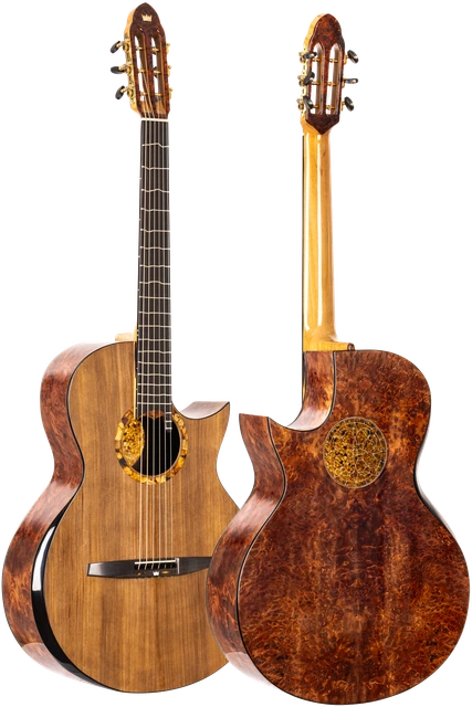 Opus Virtuoso OM, No. 777, front and back