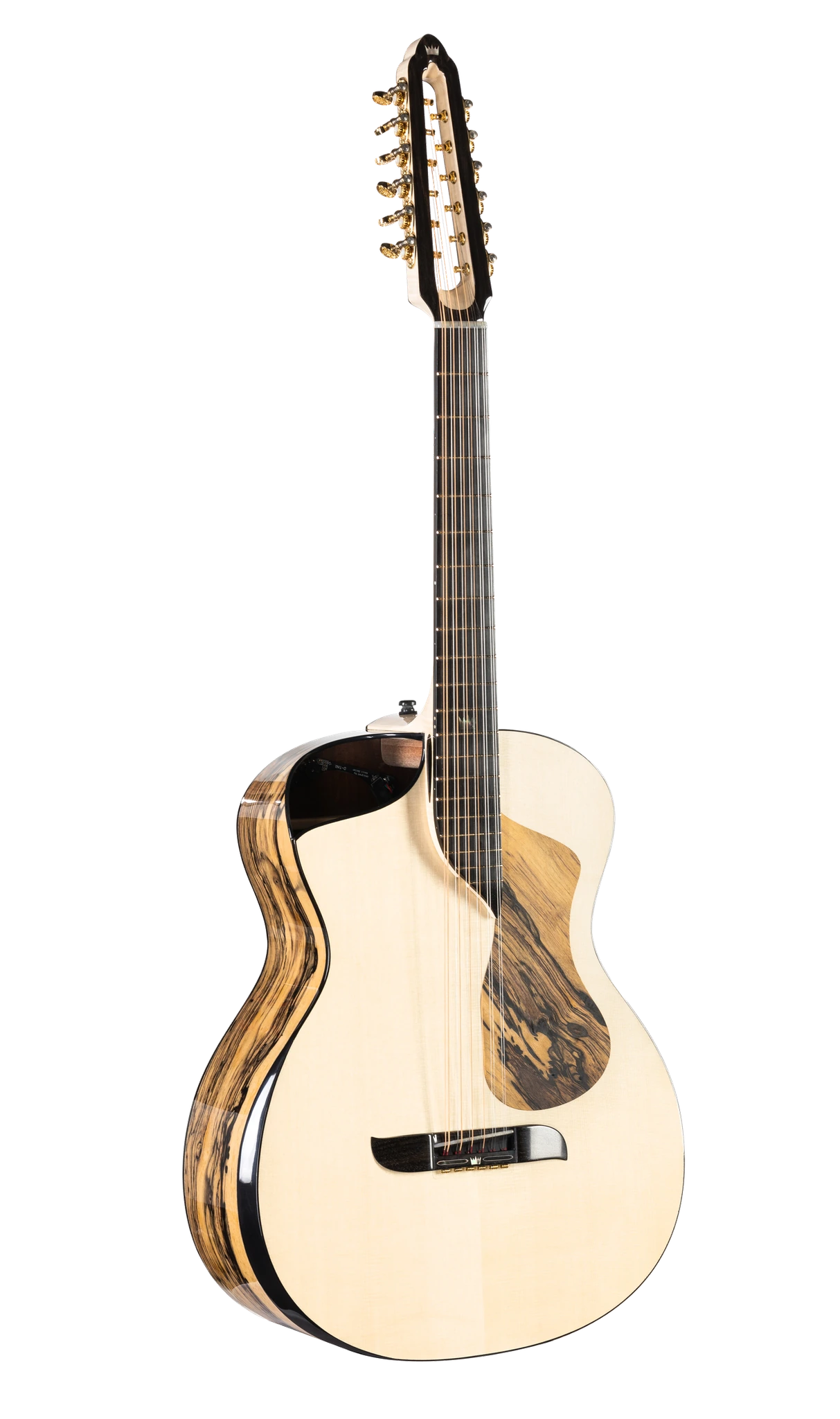 Turkowiak twelve-string Grand Auditorium No. 315, front