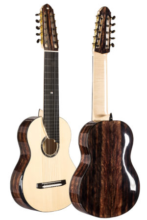 Multi String Guitars
